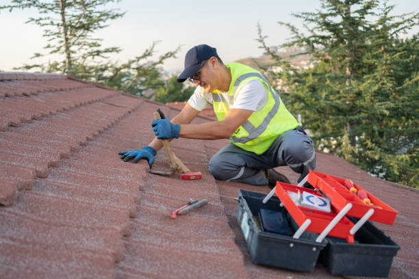 Best Commercial Roofing Services  in Cactus Flats, AZ